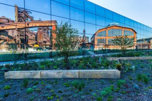 20140829_ZER_zahrada-2-(1)